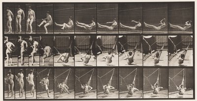 In een Hangmat Gaan, 1872-1885 door Eadweard Muybridge