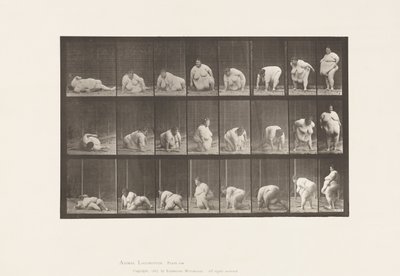 Opstaan van de Grond, 1885 door Eadweard Muybridge