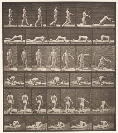 Plaat 272. Struikelen en Vallen op de Grond door Eadweard Muybridge