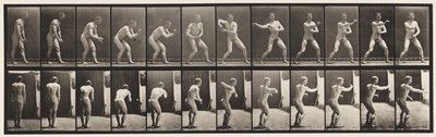 Plaat 285. Honkbal; Vangen en Gooien door Eadweard Muybridge