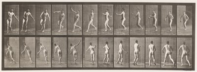 Cricket; bovenarm bowlen door Eadweard Muybridge