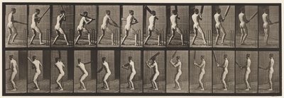 Plaat 292. Cricket; slaan; rug naar buiten, 1885 door Eadweard Muybridge