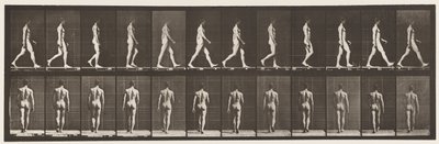 Lopen door Eadweard Muybridge