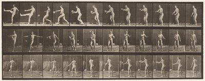 Plaat 301. Voetbal; Punt, 1885 door Eadweard Muybridge
