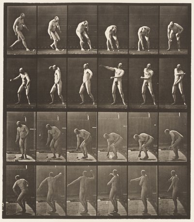 Plaat 302. Een bal oppakken en gooien, 1885 door Eadweard Muybridge