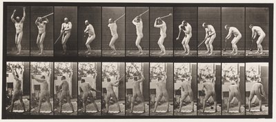 Plaat 308. De hamer werpen, 1885 door Eadweard Muybridge