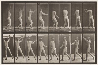 Plaat 309. De hamer werpen door Eadweard Muybridge