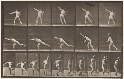 Plaat 313. Een 20-ponds rots heffen, 1885 door Eadweard Muybridge