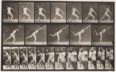 Plaat 316. Een 20-ponds rots heffen, 1885 door Eadweard Muybridge