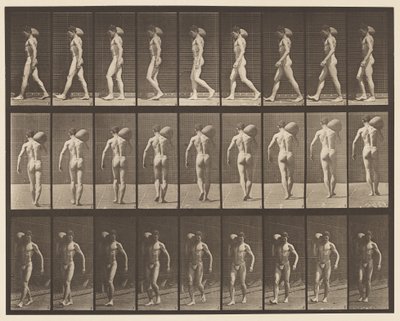 Plaat 31. Lopen, 75-lb Steen op Rechter Schouder Dragen door Eadweard Muybridge