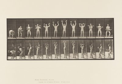 Plaat 322. Man met Halters door Eadweard Muybridge