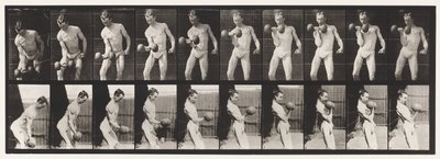 Plaat 324. Krullen van 50-lb Halter, Model, 3/4 lengte door Eadweard Muybridge