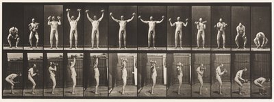 Plaat 325. Twee 50-lb. halters tillen en vasthouden, 1885 door Eadweard Muybridge