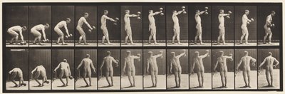 Plaat 326. 50-lb Halter op Armlengte Tillen door Eadweard Muybridge