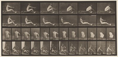 Plaat 328. Roeien door Eadweard Muybridge