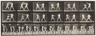 Plaat 329. Boksen; (Schoenen) door Eadweard Muybridge