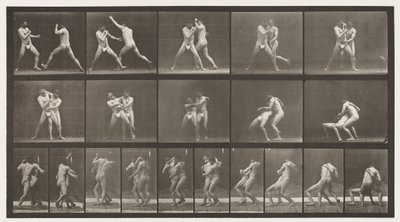 Boksen; Stop voor Kruis-Buttocks door Eadweard Muybridge
