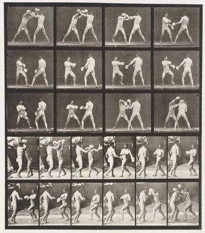Plaat 334. Boksen; Met handschoenen door Eadweard Muybridge