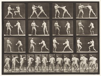 Boksen; Met Handschoenen door Eadweard Muybridge