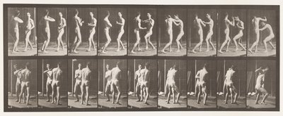 Boksen; Open Hand door Eadweard Muybridge