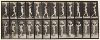 Plaat 33. Wandelen, 14-lb. mand op hoofd, handen omhoog, 1872-1885 door Eadweard Muybridge