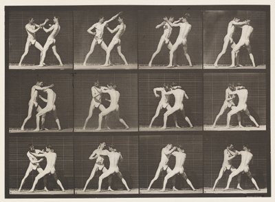 Plaat 340. Boksen; open hand door Eadweard Muybridge