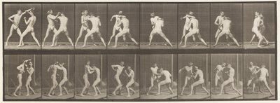 Boksen; Open Hand, 1872-1885 door Eadweard Muybridge