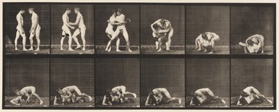 Worstelen, slot door Eadweard Muybridge