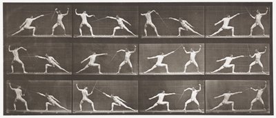 Schermen door Eadweard Muybridge
