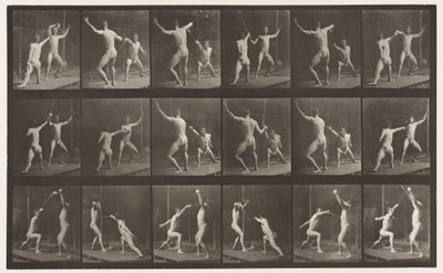 Plaat 350. Schermen door Eadweard Muybridge