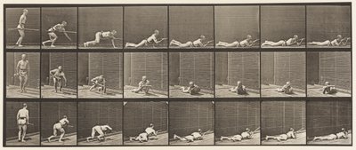 Plaat 357. Liggend en Vuren door Eadweard Muybridge