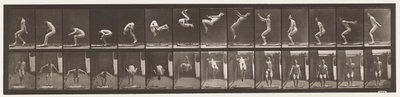 Plaat 362. Achterwaartse salto door Eadweard Muybridge