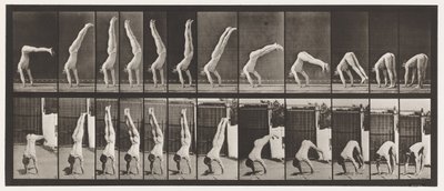 Plaat 371. Acrobat, verticale opdruk door Eadweard Muybridge