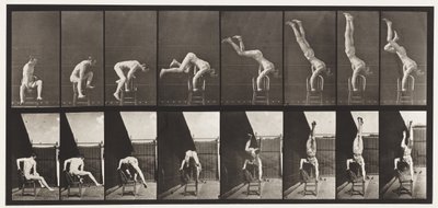 Plaat 373. Acrobat, Opdruk Vanaf Stoel door Eadweard Muybridge
