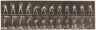 Plaat 376. Smid, hameren op aambeeld, twee handen, 1872-1885 door Eadweard Muybridge
