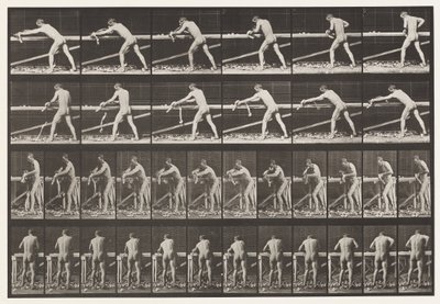 Timmerman, Een Plank Schaven, 1872-1885 door Eadweard Muybridge