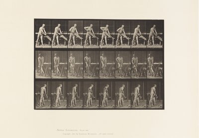 Timmerman, zagen door Eadweard Muybridge