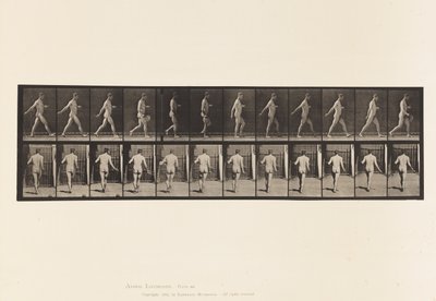Boer, zaait zaad door Eadweard Muybridge