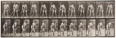 Plaat 391. Boer, Gras Maaien door Eadweard Muybridge