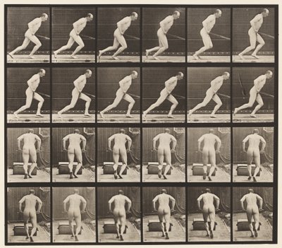 Duwen van een tuinwals door Eadweard Muybridge