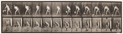 Een emmer water optillen om te legen door Eadweard Muybridge