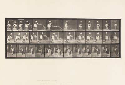 Plaat 404. Emmer water legen, 1885 door Eadweard Muybridge