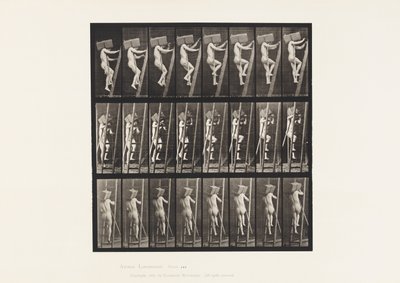 Handvol bakstenen een ladder op dragen door Eadweard Muybridge