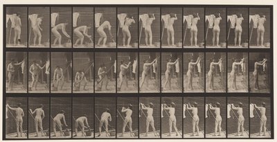 Plaat 434. Kleding aan de lijn hangen, 1872-1885 door Eadweard Muybridge