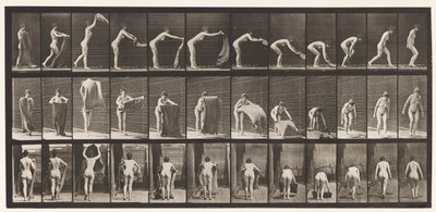 Een Tapijt op de Vloer Spreiden, 1872-1885 door Eadweard Muybridge