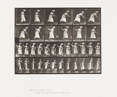 Hooi Harken door Eadweard Muybridge