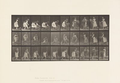 Plaat 458. Handvol Hooi Optillen, Draaien, Weggooien door Eadweard Muybridge