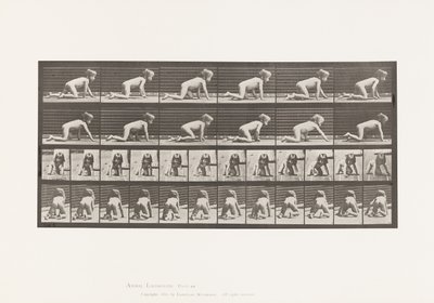 Plaat 471. Kind, kruipen op handen en knieën, 1885 door Eadweard Muybridge