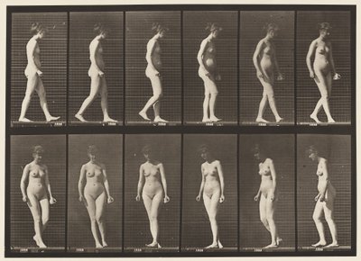 Plaat 47. Lopen en Omdraaien door Eadweard Muybridge