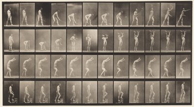 Plaat 488. A, Lawn Tennis; B, Halters; C, Op handen lopen, 1872-1885 door Eadweard Muybridge